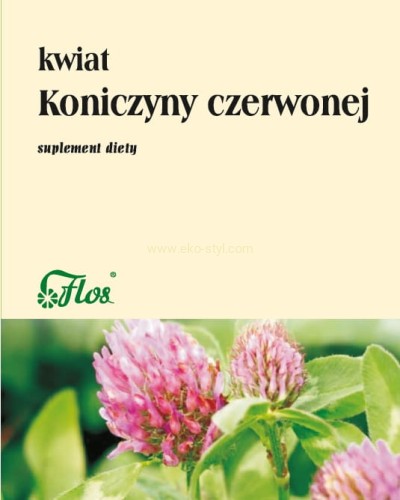 kwiat-koniczyny-czerwonej.jpg