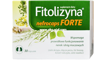 filolizyna.jpg