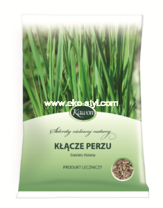 PERZ kłącze 50 g. -Kawon-