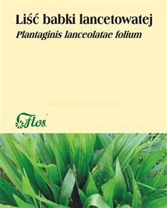lisc-babki-lancetowatej.jpg