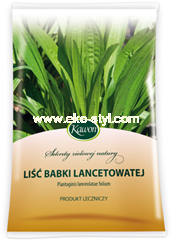 lisc-babki-lancetowatej.jpg