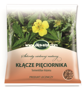 PIĘCIORNIK kłącze 50 g. -Kawon-