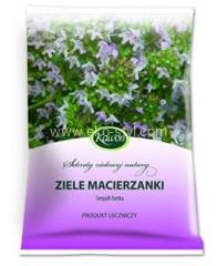 ziele-macierzanki.jpg