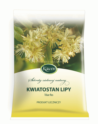 kwiatostan-lipy.jpg